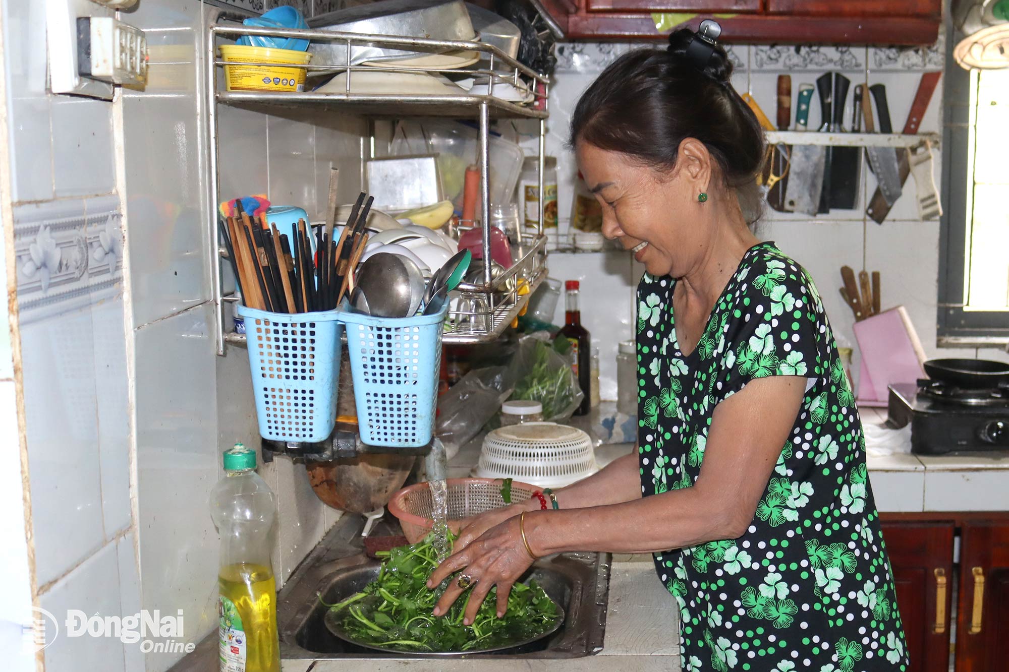 Đồng Nai: Ðưa nước sạch về An Viễn