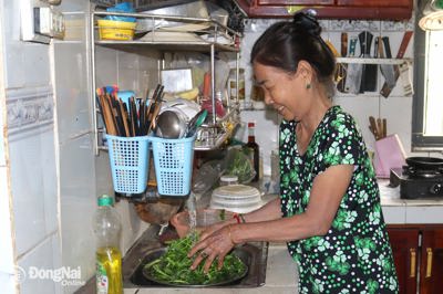 Đồng Nai: Ðưa nước sạch về An Viễn