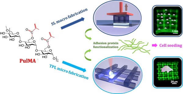 Mỹ phát triển màng lọc hydrogel để tái sử dụng nước